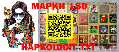 спиды Обь