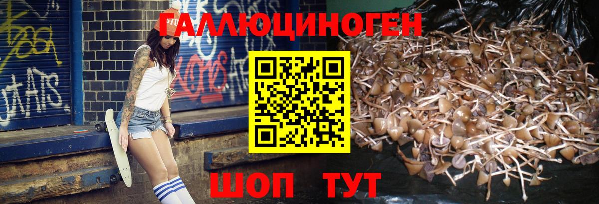 Троицк  Галлюциногенные грибы GOLDEN TEACHER  цена наркотик  Вход с VPN 