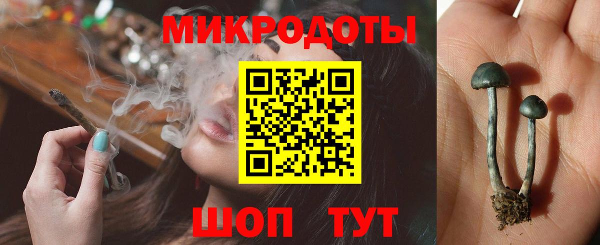Галлюциногенные грибы MAGIC MUSHROOMS Троицк